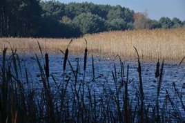 Parki i ogrody ziemi wieluńskiej - Załęczański Park Krajobrazowy - jeden z najpiękniejszych parków w Polsce, bo otulający zakole Warty